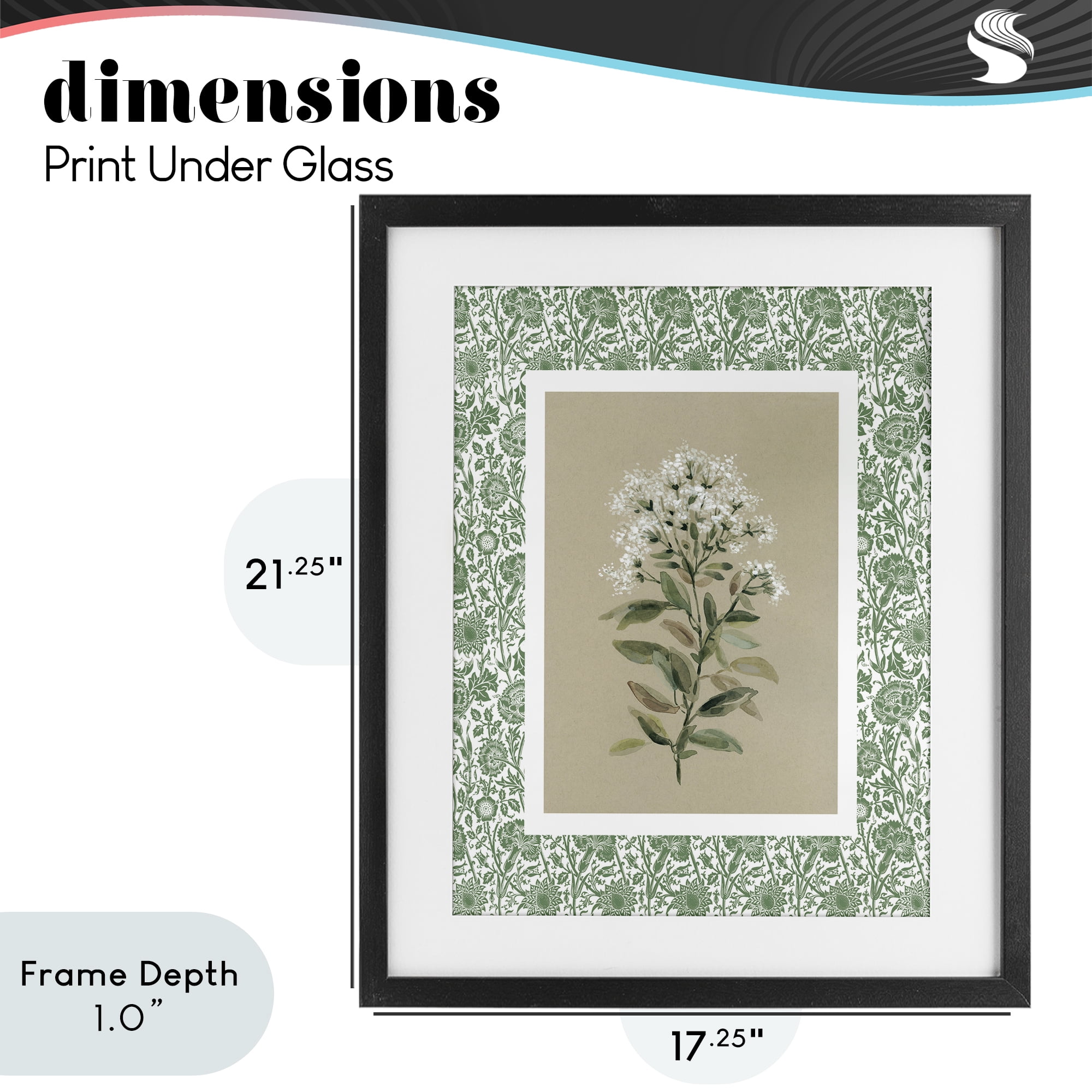 Stupell Industries Plant on Green Botanicals Black Framed Print Under Glass, design by Carol Robinson