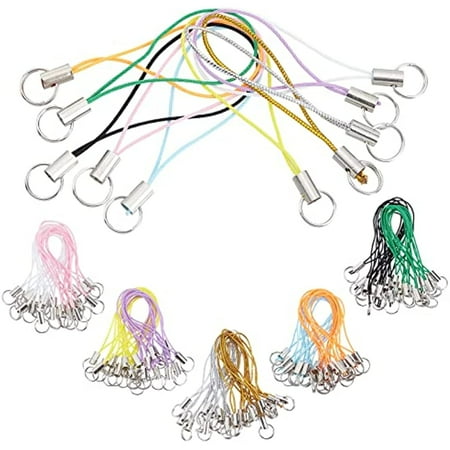 100Pcs 10 Colors Phone Keychain Strap Sliver Tone Split Ring Cords Colorful Polyester Cellphone Charms Lanyard String for Mobile Phone Lariat USB Drive DIY Decorations Supplies