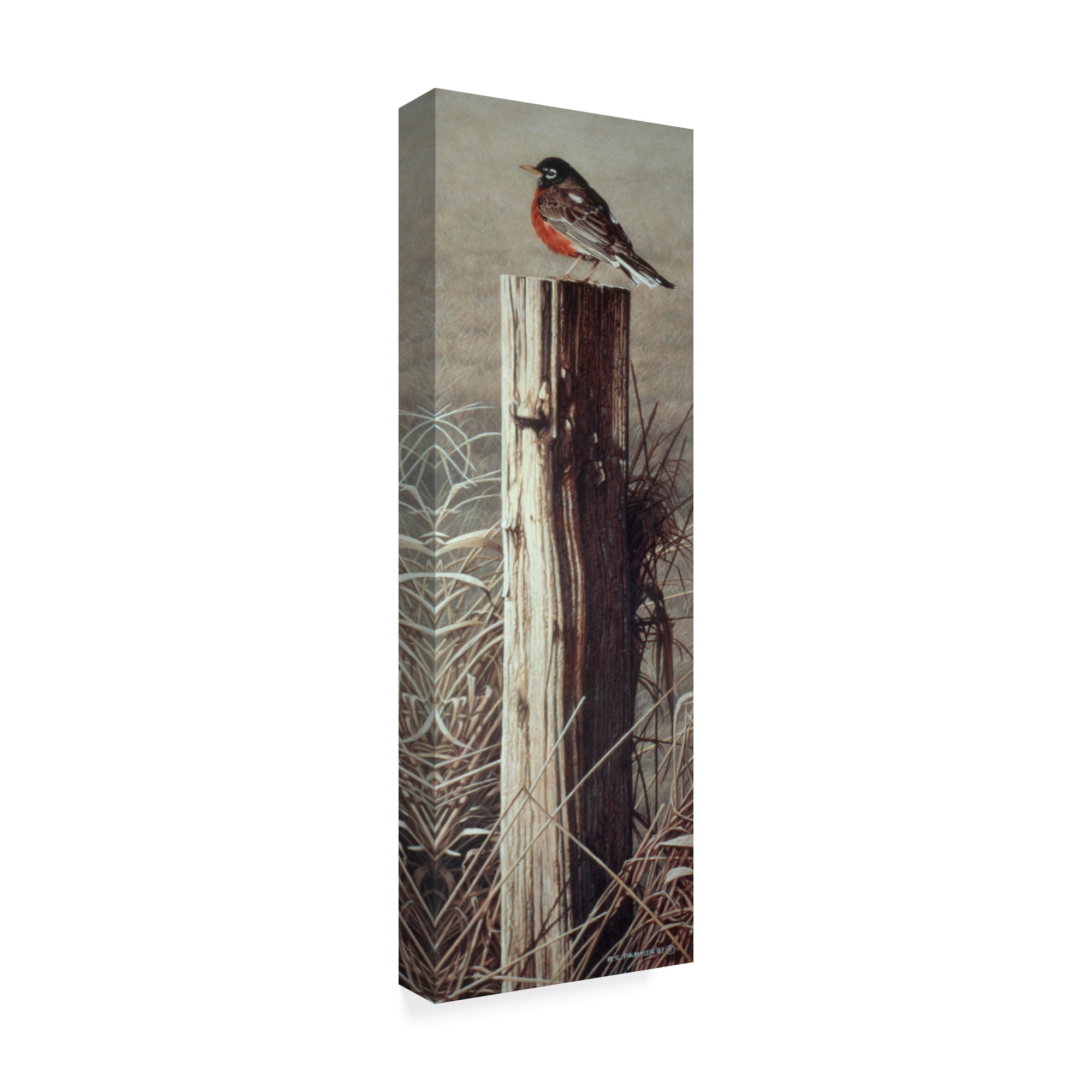 Trademark Fine Art 'Fence Post' Canvas Art by Ron Parker