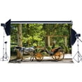 thumbnail image 1 of BSDHOME Polyester 7x5ft Old Carriage Backdrop Spring Jungle Forest Backdrops European Royal Park Trees Countyard Nature Photography Background for Girls Princess Outdoor Journey Photo Studio Props, 1 of 3