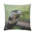thumbnail image 2 of Ahgly Company Animals Snake Indoor Throw Pillow, 18 inch by 18 inch, 2 of 6