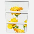 thumbnail image 1 of Designart - Beautiful Yellow Flowers on White - Floral Canvas Art Print, 1 of 1