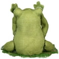 thumbnail image 6 of Northlight Sitting on Lily Pad See No Evil Frog with Bowtie Spring Decoration - 8", 6 of 6