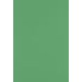 thumbnail image 2 of LUXPaper 13" x 19" Cardstock | Holiday Green | 100lb. Cover | 50 Qty, 2 of 4
