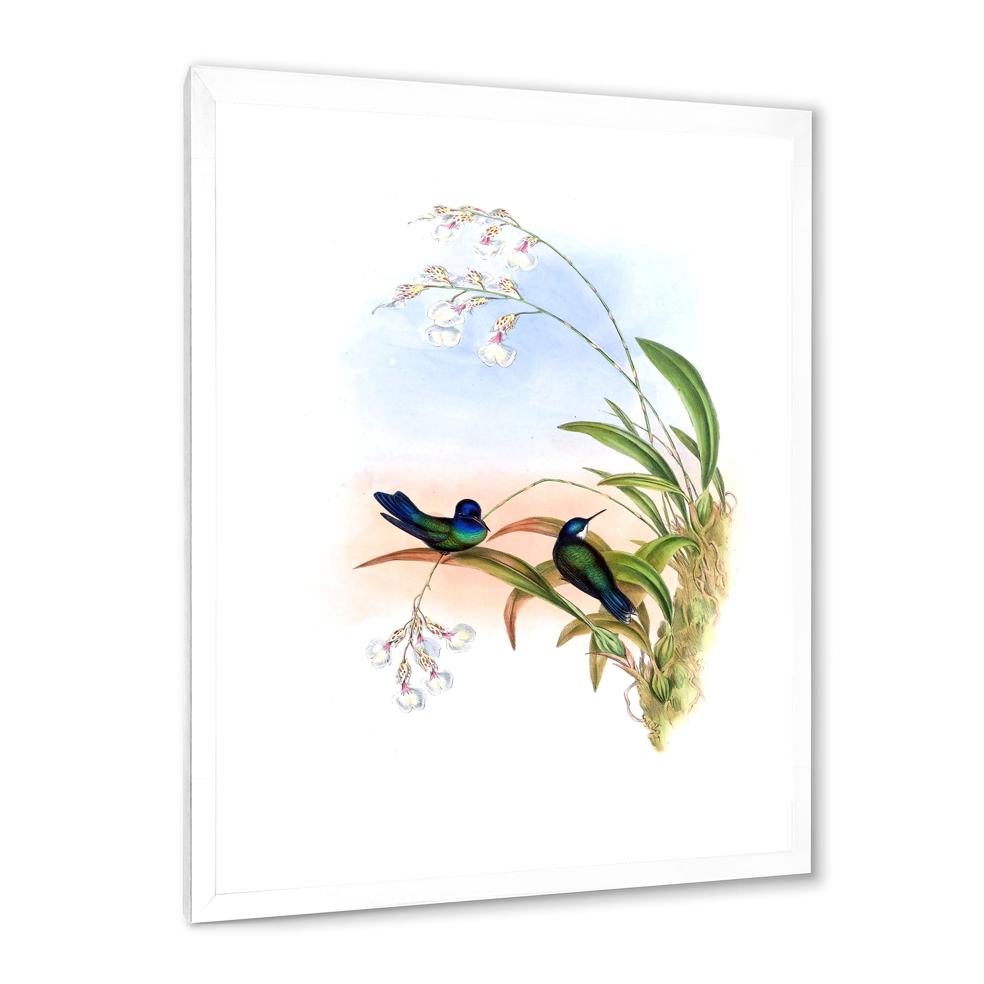 Designart 'Ancient Hummingbird III' Traditional Framed Art Print