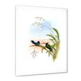 thumbnail image 2 of Designart 'Ancient Hummingbird III' Traditional Framed Art Print, 2 of 4