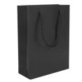 thumbnail image 1 of 10Pcs Gift Bags with Handles Retail Shopping Party Paper Package Storage Craft Supplies, 1 of 3