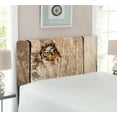 thumbnail image 2 of Safari Headboard, Siberian Tiger Eye Looking Through Wooden Peep Hole in Spy Predator Big Cat Wild Print, Upholstered Decorative Metal Bed Headboard with Memory Foam, Twin Size, Tan, by Ambesonne, 2 of 4