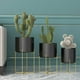 thumbnail image 4 of Cateissary Soporte dorado para plantas con maceta, estante para flores, soporte para figuritas de tipo suelo, maceta de Metal grande de estilo Jardín y Patio Negro, 4 of 6