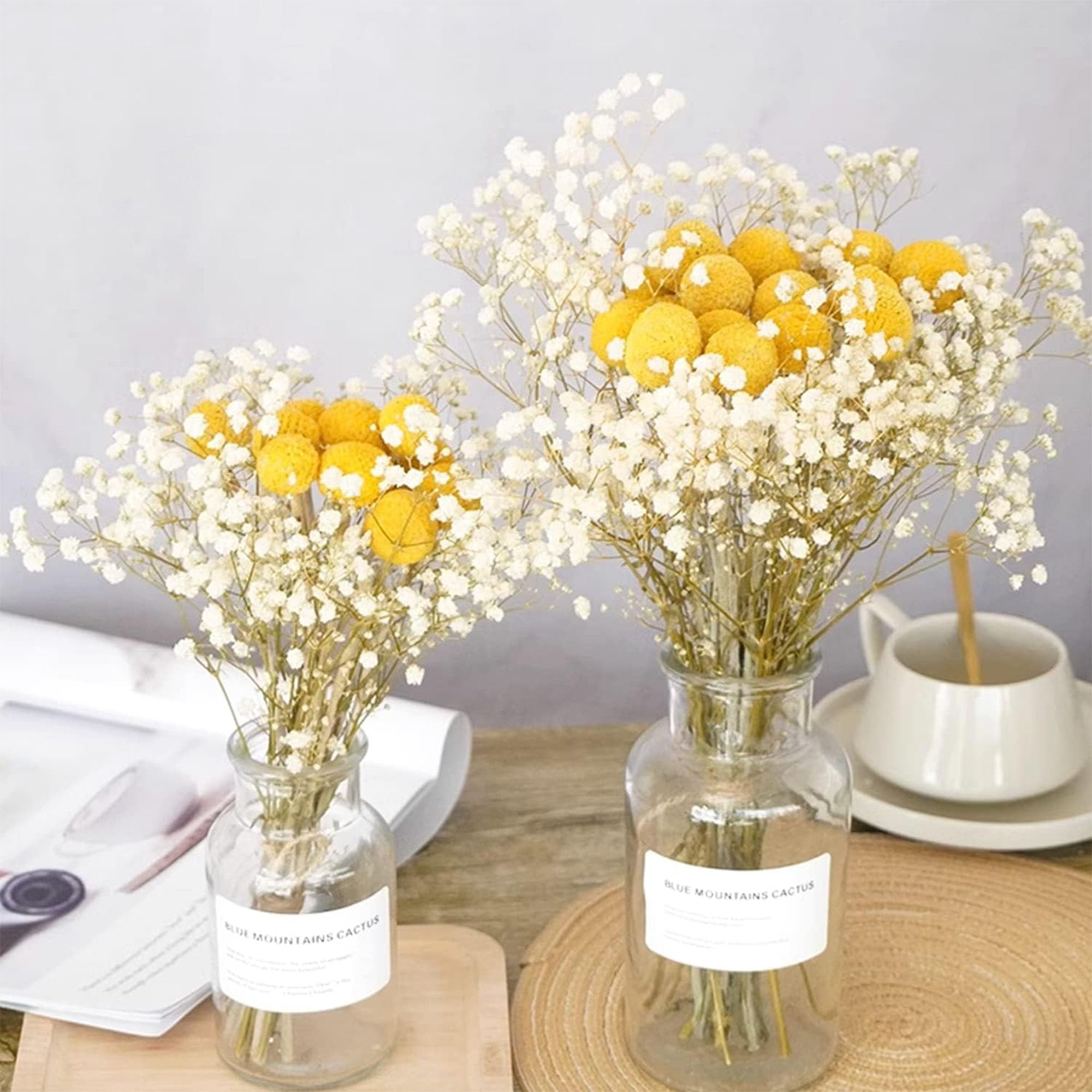 60 Stems Diameter Natural Craspedia Dried Flowers, 16inch Billy Buttons Balls Bouquet Bundles Natural Dried Flowers for DIY Flower Arrangements Home Decor, Yellow