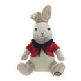 thumbnail image 1 of Flopsy Rabbit Plush, 1 of 5