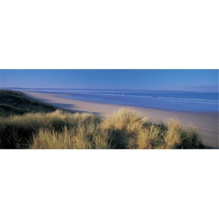 Panoramic Images PPI91571L Tall grass on the coastline  Saunton  North Devon  England Poster Print by Panoramic Images - 36 x