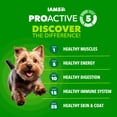 thumbnail image 4 of IAMS Proactive Health Dry Dog Food for Small Breeds, Adult Dog Food Dry Recipe, 15 lb. Bag, 4 of 11