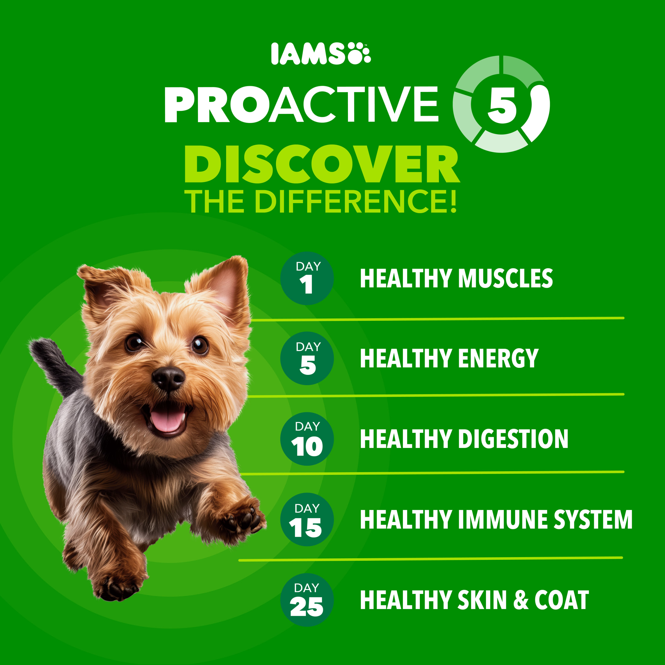 IAMS Proactive Health Small Breed Adult Dog Food, 15 lb photo 3