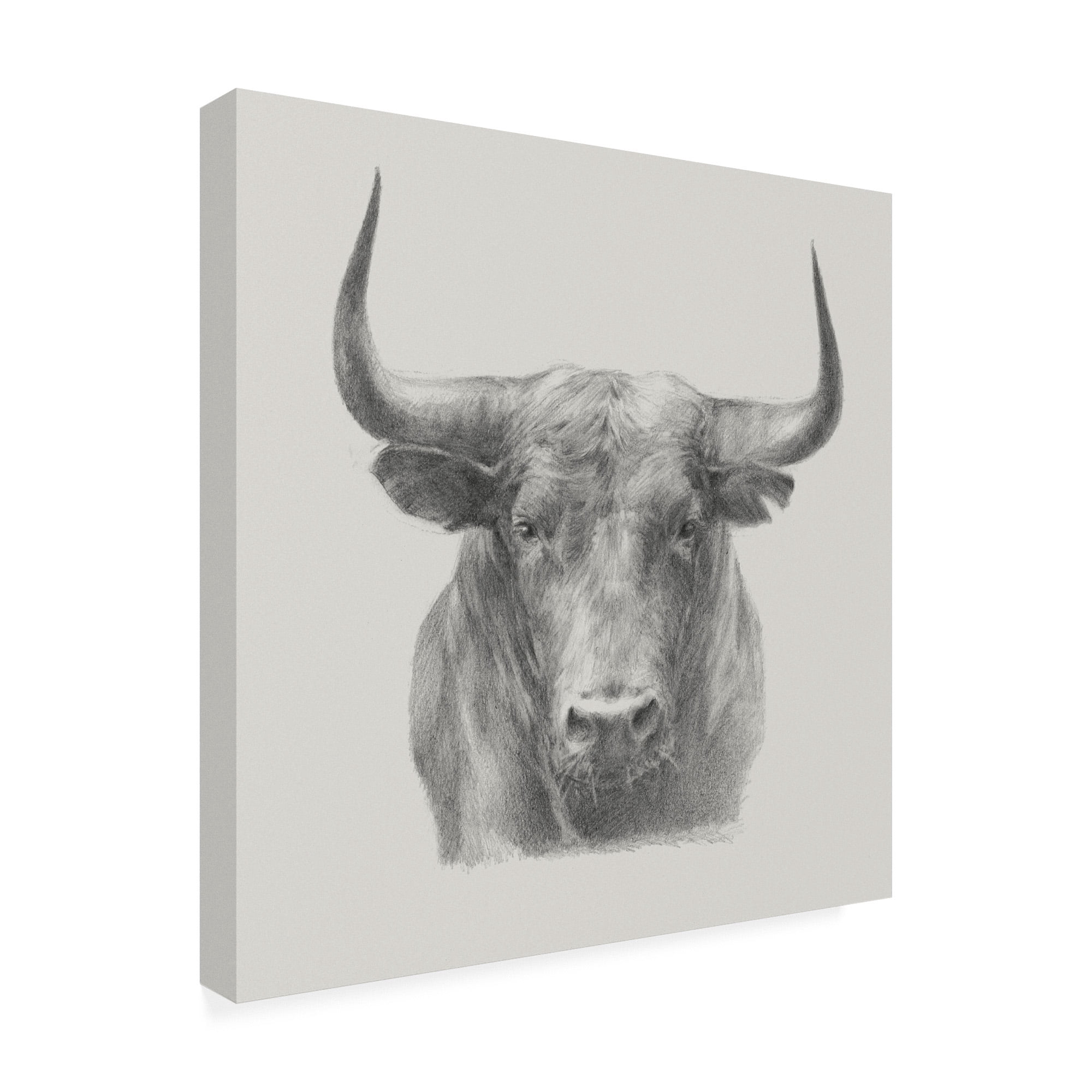 Trademark Fine Art 'Black Bull' Canvas Art by Ethan Harper