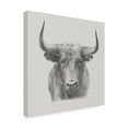 thumbnail image 2 of Trademark Fine Art 'Black Bull' Canvas Art by Ethan Harper, 2 of 4