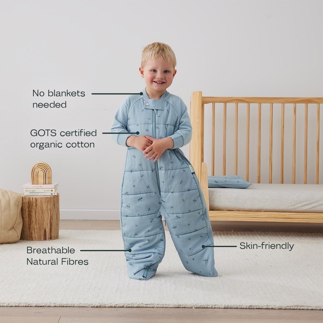 ergoPouch 2.5 TOG Baby Sleep Sack – 100% Organic Cotton Baby Sleep Suit Bag for Cozy Baby’s Night – Our Sleeping Bag for Kids converts to Sleep Suit with Legs, Baby Blanket (Dragonflies, 2-4 years)
