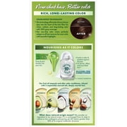 Garnier Nutrisse Nourishing Hair Color Creme, 434 Deep Chestnut Brown