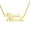 Gold, variant on Name Custom Necklace 18K Gold Plated 2 Name Necklace Personalized with Heart Customized Pendant Necklace Women Jewelry Gift
