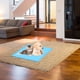 thumbnail image 5 of EeaseMX Tapete de silicona para comida de mascotas, premium, impermeable, antiadherente, para perros y gatos, mantel individual, almohadilla lavable (azul), 5 of 7