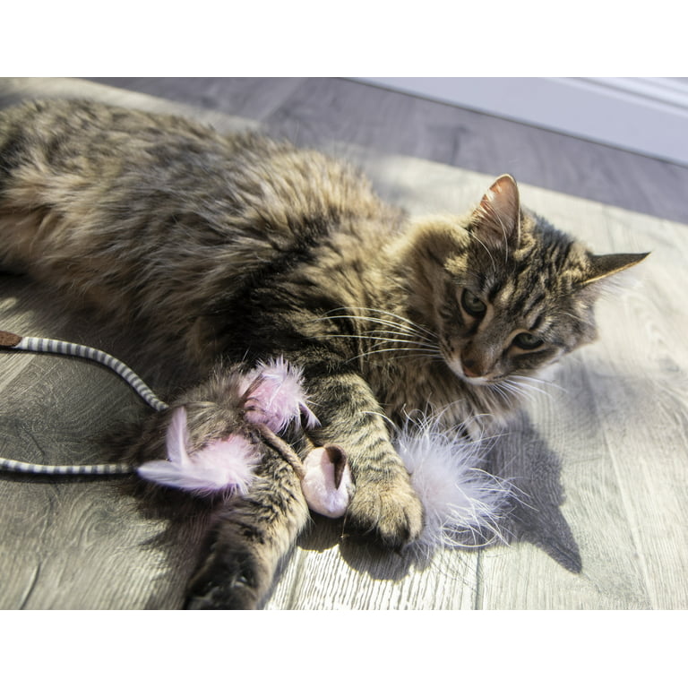PETLINKS HyperNip Safari Loony Legs Cat Toy with Catnip 