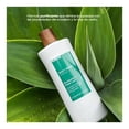 thumbnail image 4 of Gel de baño Raw Sugar para hombre eucalipto y hoja de cedro 740 ml, 4 of 4