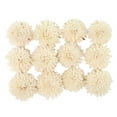 thumbnail image 5 of Studio 350 Boxed Natural White Carnation and Rose Sola Flowers (Set of 2) - 6 x 7 - 6 x 7, 5 of 5
