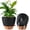 Black, variant on VELASTRUM 2 Pack 8 Inch Self Watering Plant Pots with Drainage Holes, Water Level Indicator & Deep Reservoir, Decorative Planters for Indoor Outdoor Use (Black)