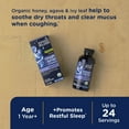 thumbnail image 2 of Mommy's Bliss Kids, Organic Cough Syrup, Night Time, 1-12 Yrs, 4 fl oz (120 ml), 2 of 9