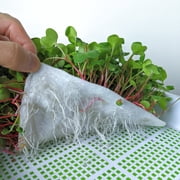 Mountain Valley Seed Company Bamboo Microgreens Grow Mats with High Water Holding Capacity (10 Pack)
