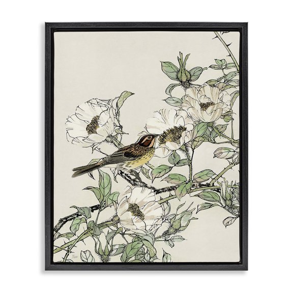 Stupell Industries Traditional Delicate Bird & Blossoms Black Floating Frame Canvas Art, 17 x 21, by Nan