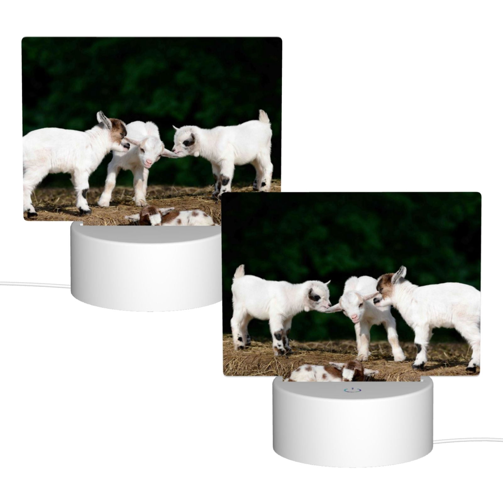 Hirioo Cute Goat Baby for Rectangular Acrylic with Night Light Best Gifts for Lover Girl Mom, Valentine's Day Anniversary Birthday Wedding Present