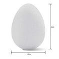 thumbnail image 3 of Styrofoam Eggs: White, 2.5 inches, 3 of 3