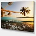 thumbnail image 2 of Andaman Sea Large Coconut Palms, 2 of 3