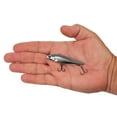 thumbnail image 4 of Berkley Ripfish, 7, Chrome, 4 of 5