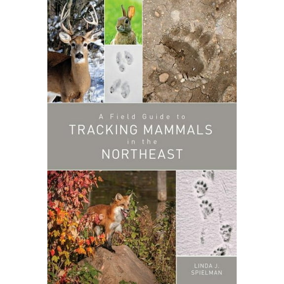 A Field Guide to Tracking Mammals in the Northeast