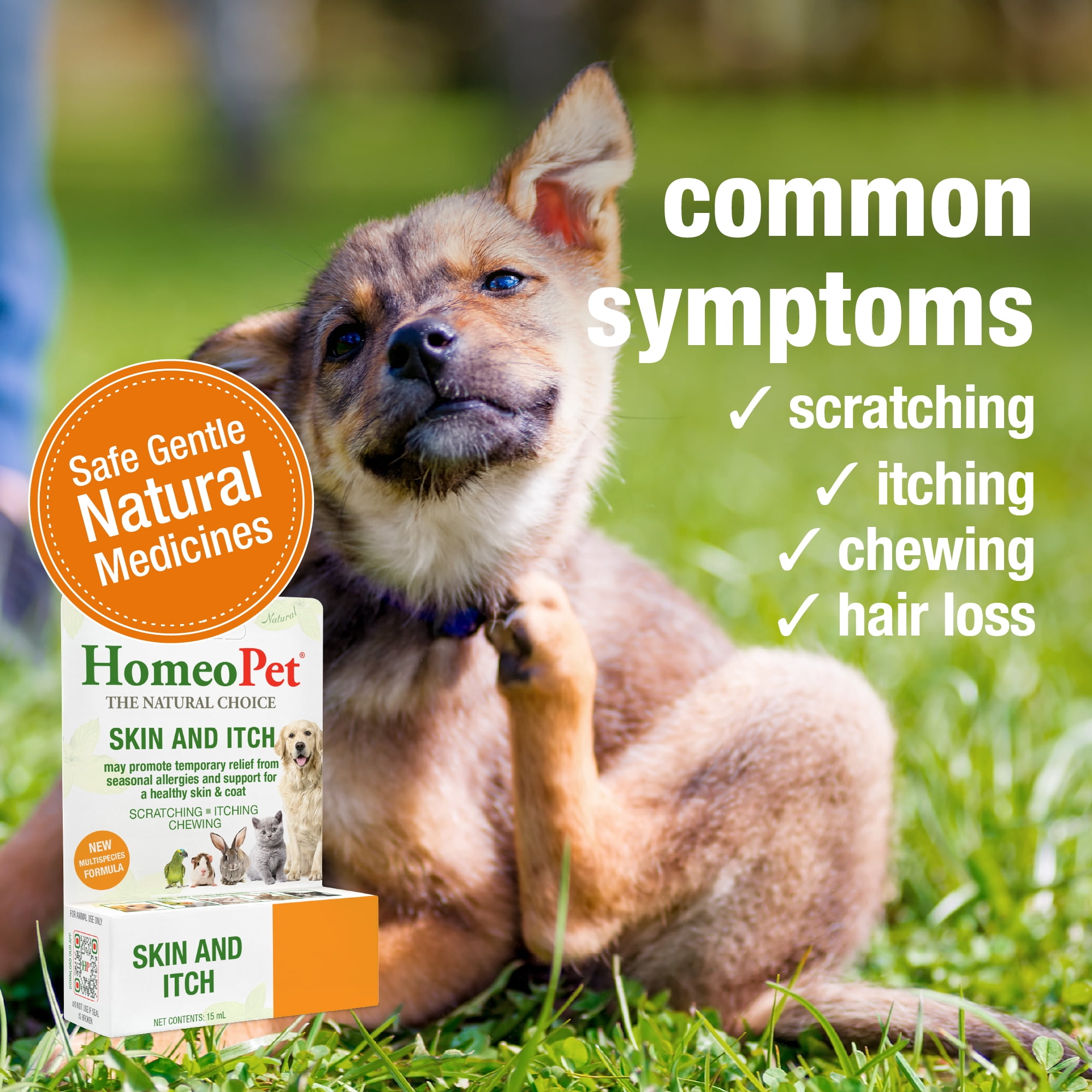 dog itching and hair loss medicine