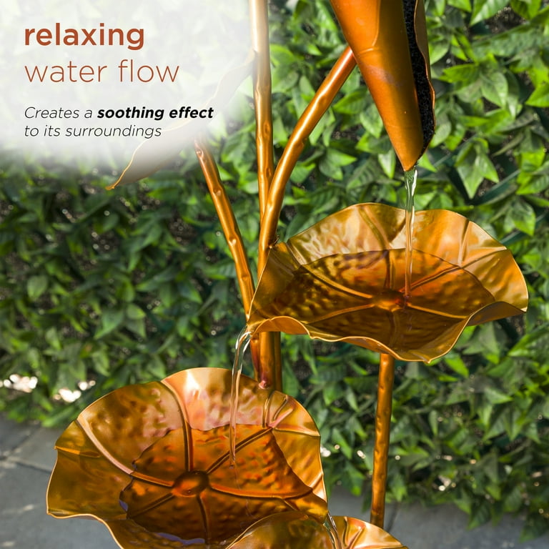 Alpine Corporation 43