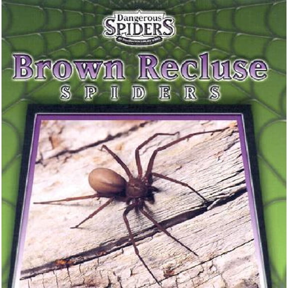 Pre-Owned Brown Recluse Spiders (Library Binding) 0836837665 9780836837667