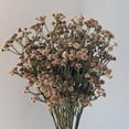 thumbnail image 4 of 62CM/pc 81 High Quality Small Flowers Autumn Color Feel Soft Rubber Gypsophila Dry Flower 6 Color PVC Bouquet Home Garden Decor, 4 of 10