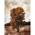 thumbnail image 2 of Villa, Mlli 19x24 Black Ornate Wood Framed with Double Matting Museum Art Print Titled - Lonely Fall Tree, 2 of 4