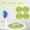 Green, variant on Ganfancp Dinner Plates, Toddler Plates, Crab Feeding Set For Kids Includes,Bowl,Cup,Fork,Spoon and Chopsticks Ideal for Daily Use Plate Holder