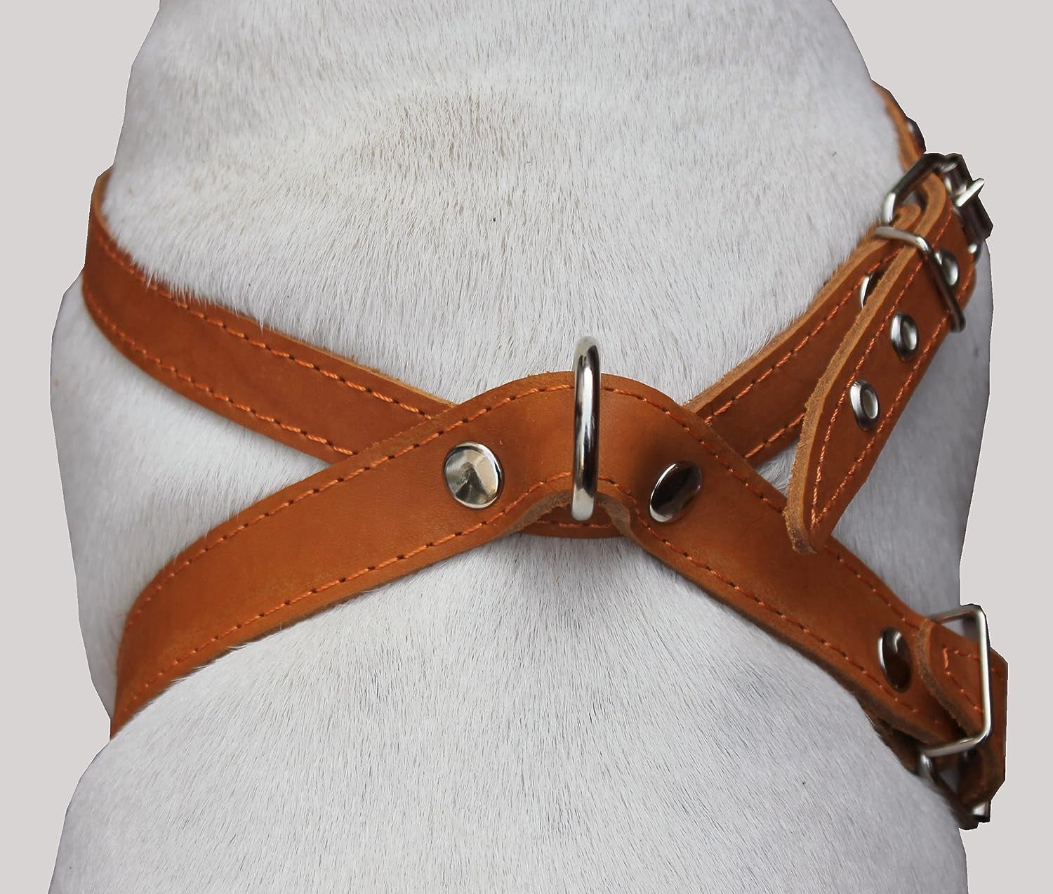 Tan High Quality Real Leather Dog Harness Medium. 21"-25" Chest, 1" Wide Straps