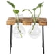 thumbnail image 3 of Macetero De Vidrio De Escritorio, Soporte De , Florero De Vidrio, Planta Hidropónica Retro DIY Para El Hogar Y La Oficina, 3 of 7