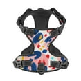 thumbnail image 4 of Lsque Abstract Leopard Print Dog Harness, No-Pull Pet Harness with 2 Leash Clips, Adjustable Soft Padded Dog Vest with Easy Control Handle for Large Dogs-Medium, 4 of 9