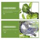 thumbnail image 5 of BALAHAPY Planta De Resina Decorativa Para Terrario Con Aspecto Para Ambientes De Reptiles, 5 of 6