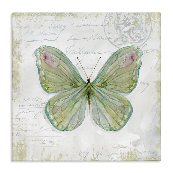 Stupell Industries Cottage Antique Butterfly Insect Charming Vintage Postal Scripture Canvas Art, 17 x 17, by Carol Robinson