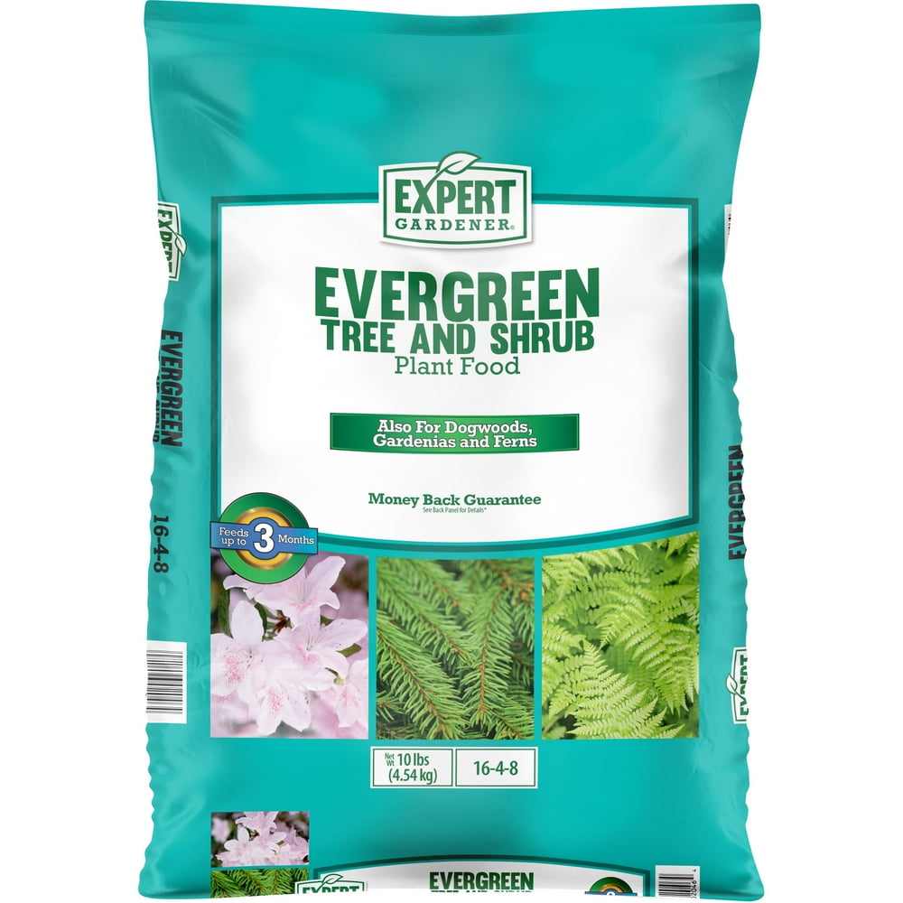 expert-gardener-evergreen-tree-shrub-plant-food-fertilizer-16-4-8