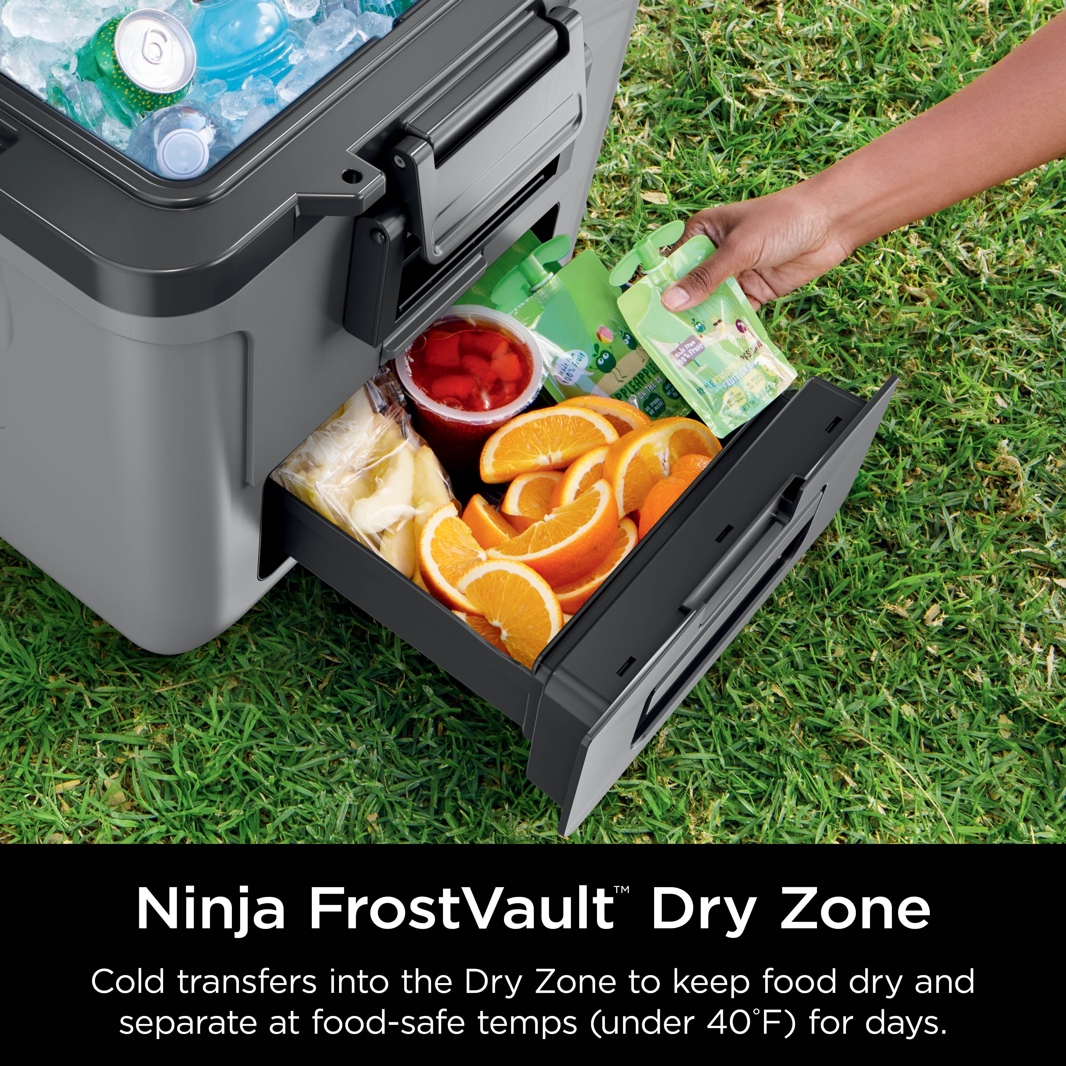 Ninja FrostVault 30 Quart Wheeled Cooler, Gray