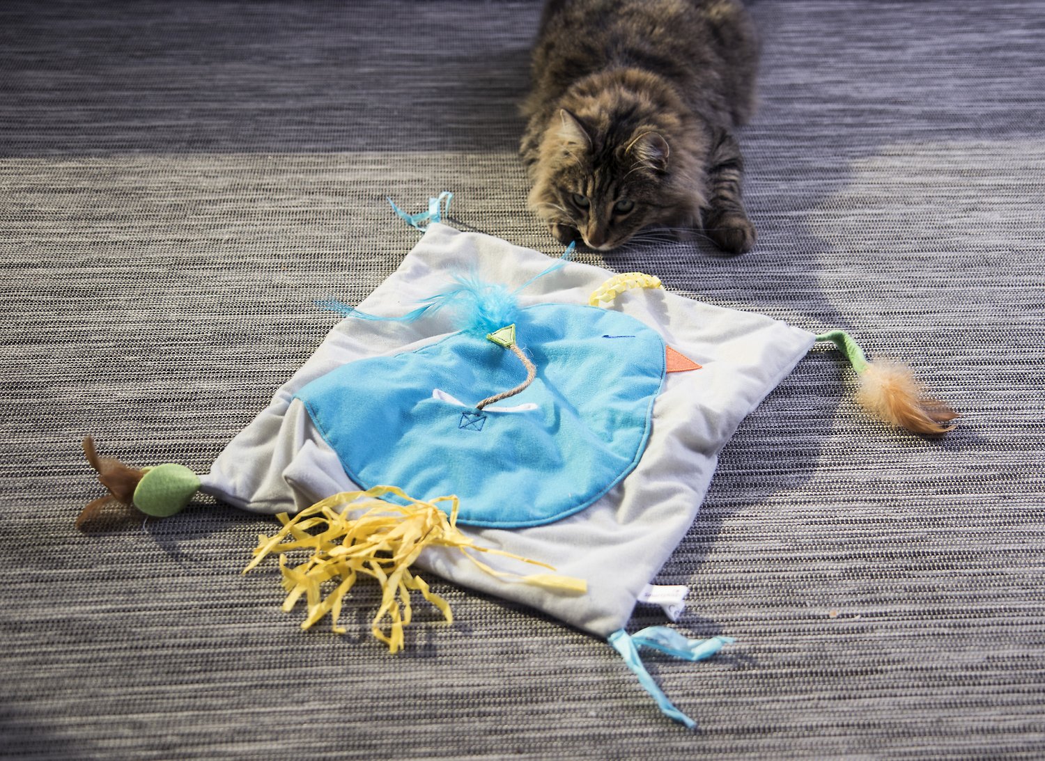 purrfectplay